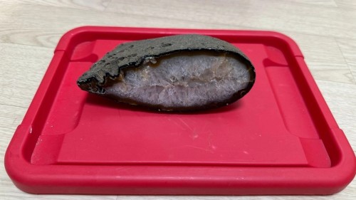 자수정 단면 [고급 희귀 수정 원석 /인테리어 소품 16*10cm]