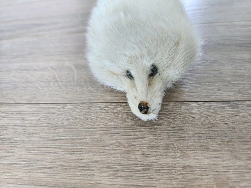 천연 밍크 목도리