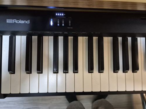 ROLAND F10