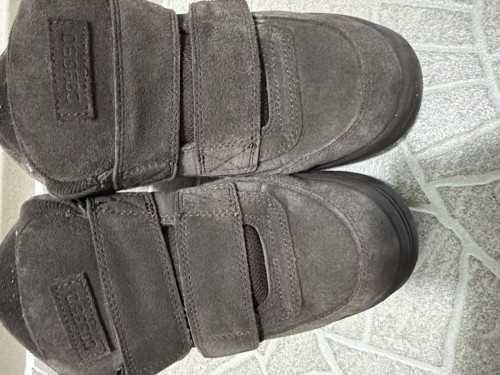 코이세이오 범블 브라운 250